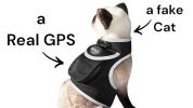 Cat Dog Tracking Collar Mount GPS Realtime Tracker Waterproof Portable Size:M