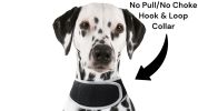 Realtime Dog GPS System Waterproof Mini Collar Pet Location Finder NEW Size:M