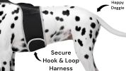 Collar Tag Dog Locator Rechargeable + Realtime Easy Pet GPS App System Size:XL