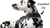 Waterproof Portable Collar Mounted Dog Trackers Pocket GPS Pet Locator Size:XS