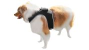 Collar Tag Dog Locator Rechargeable + Realtime Easy Pet GPS App System Size:XL