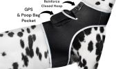 Track Pet Through Phone with Pet Tracker Collar GPS Tracking for Dog + App Size:M