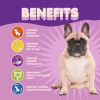 Probiotics for Dogs & Puppies Extra Strength 9 Species 5 Billion CFU per Scoop of Dog Probiotics and Digestive Enzymes for Dogs Support Fiber for Dogs