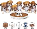 Puppy Feeder Bowl, Stainless Steel Dog Bowls for Puppy, Food Feeding Weaning Bowl for Small Medium Large Dogs (Medium Size, 11.8 Inch)