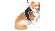 Realtime Pet Surveillance Pet Tracker Mini GPS Dog Tracking Collar Device Size:M