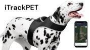 Handy Dog Trackers - Waterproof Pet Tracker Pocket GPS Pet Tracking Device Size:M